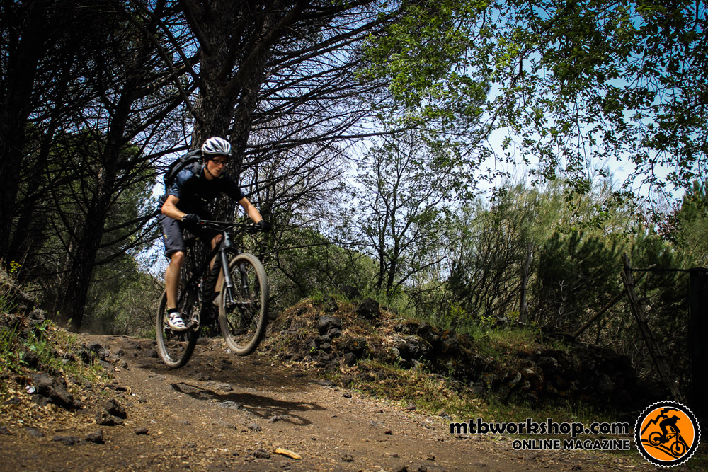 canyon_lux_cf_99_team_49